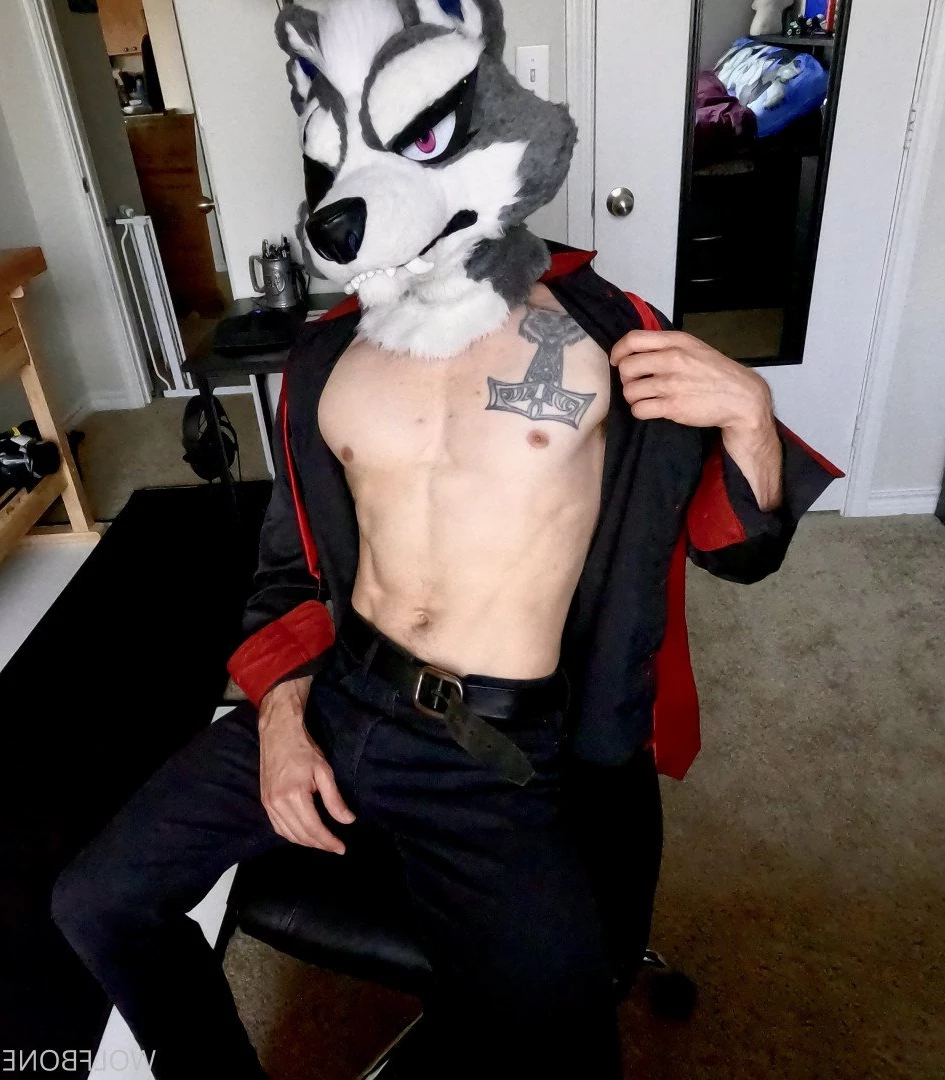 Mr. Wolf 🐺 🌟 [ frute_brute ] Onlyfans leaked photo 3192290 on Hotleaks.tv