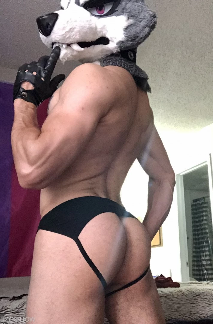 Mr. Wolf 🐺 🌟 [ frute_brute ] Onlyfans leaked photo 3192319 on Hotleaks.tv