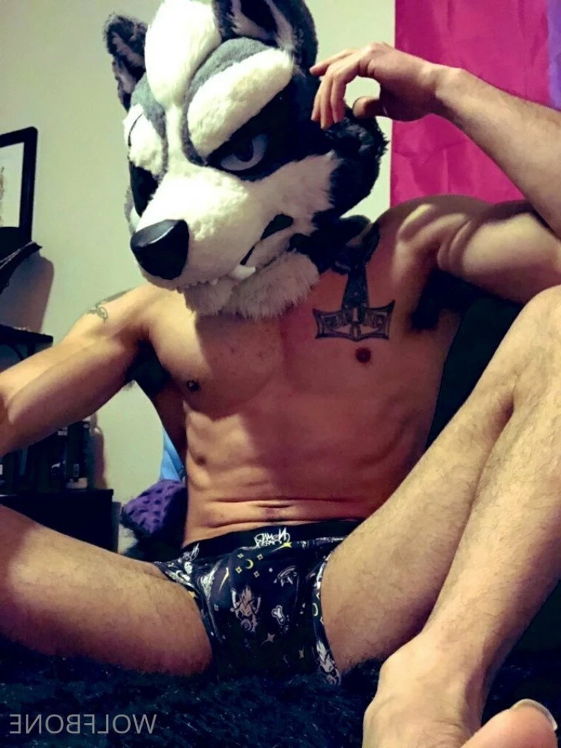 Mr. Wolf 🐺 🌟 [ frute_brute ] Onlyfans leaked photo 3192375 on Hotleaks.tv