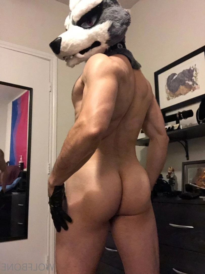 Mr. Wolf 🐺 🌟 [ frute_brute ] Onlyfans leaked photo 3192382 on Hotleaks.tv