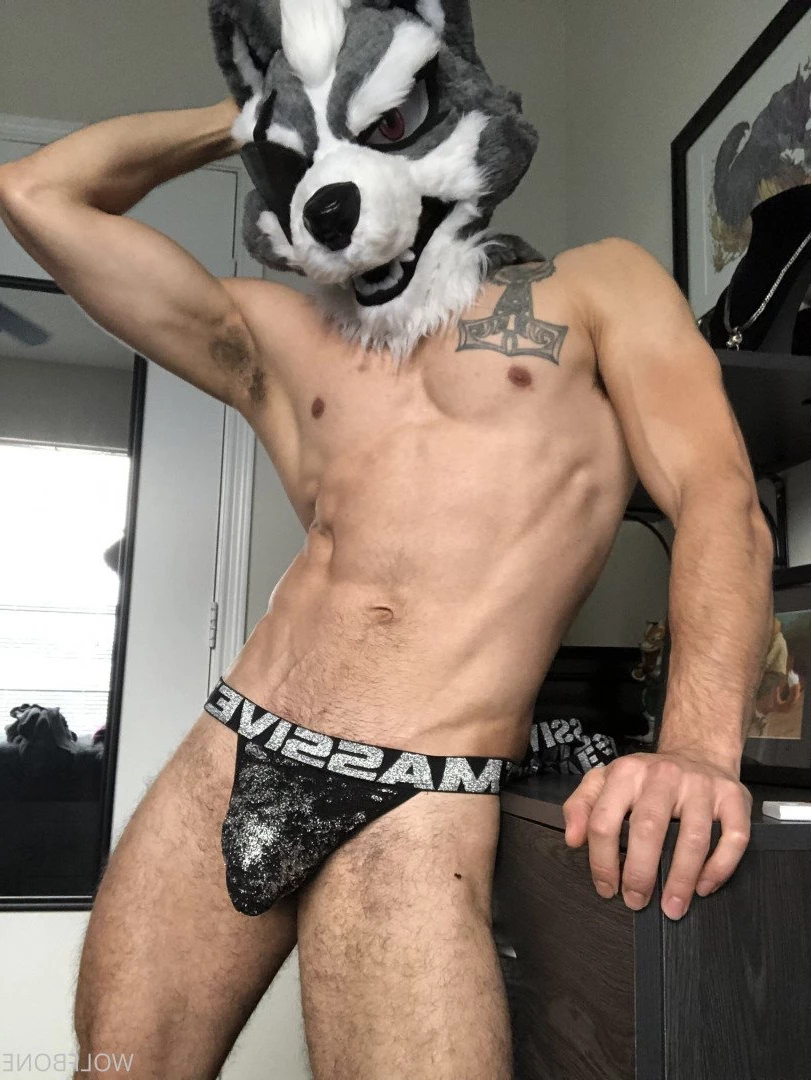 Mr. Wolf 🐺 🌟 [ frute_brute ] Onlyfans leaked photo 3192433 on Hotleaks.tv