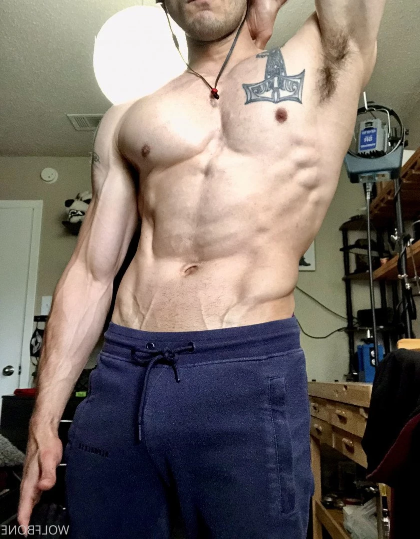 Mr. Wolf 🐺 🌟 [ frute_brute ] Onlyfans leaked photo 3192492 on Hotleaks.tv