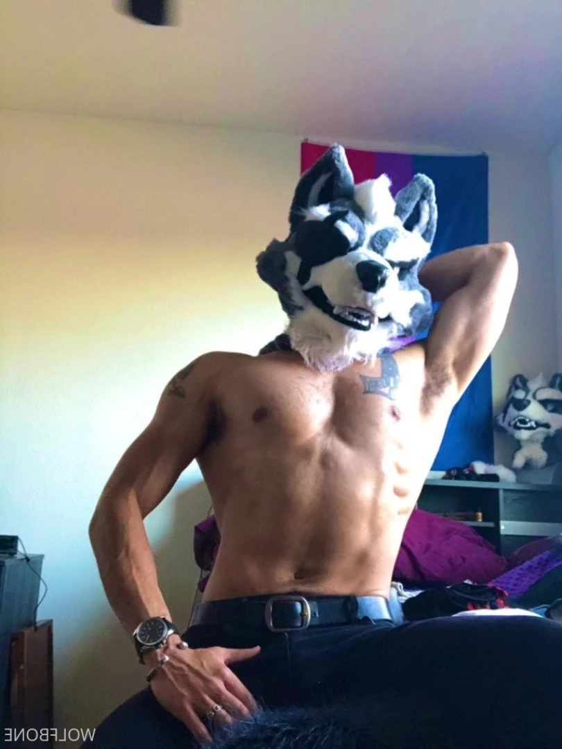 Mr. Wolf 🐺 🌟 [ frute_brute ] Onlyfans leaked photo 3192500 on Hotleaks.tv