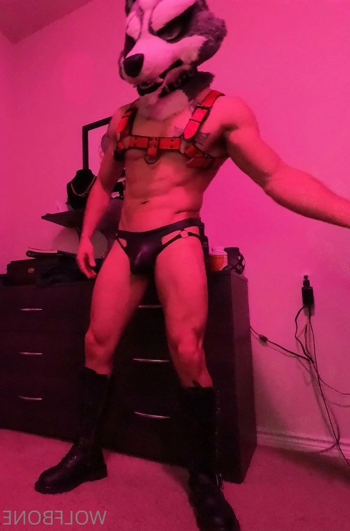 Mr. Wolf 🐺 🌟 [ frute_brute ] Onlyfans leaked photo 3192587 on Hotleaks.tv
