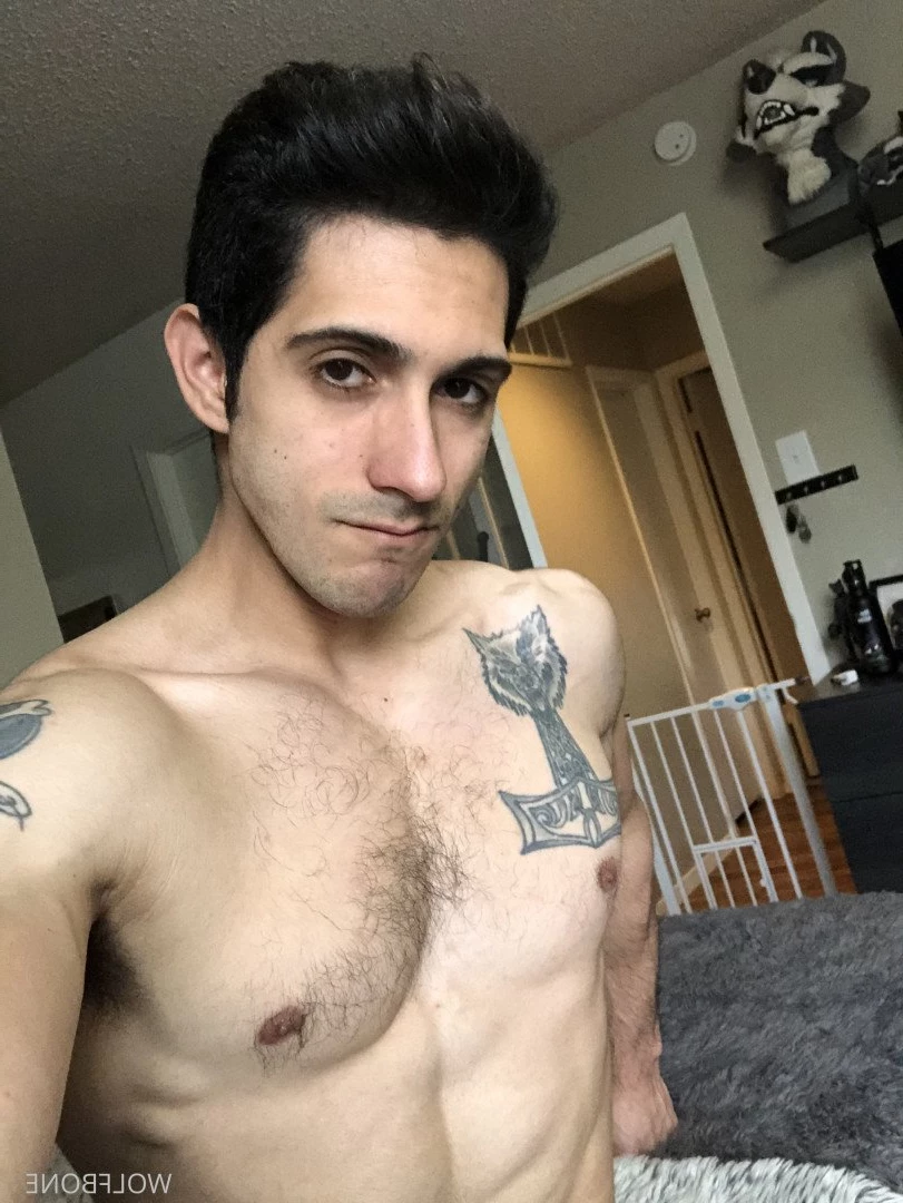 Mr. Wolf 🐺 🌟 [ frute_brute ] Onlyfans leaked photo 3192611 on Hotleaks.tv
