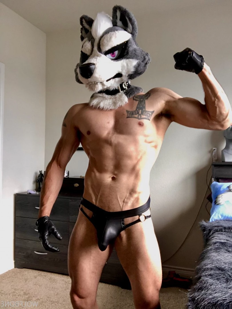Mr. Wolf 🐺 🌟 [ frute_brute ] Onlyfans leaked photo 3192618 on Hotleaks.tv