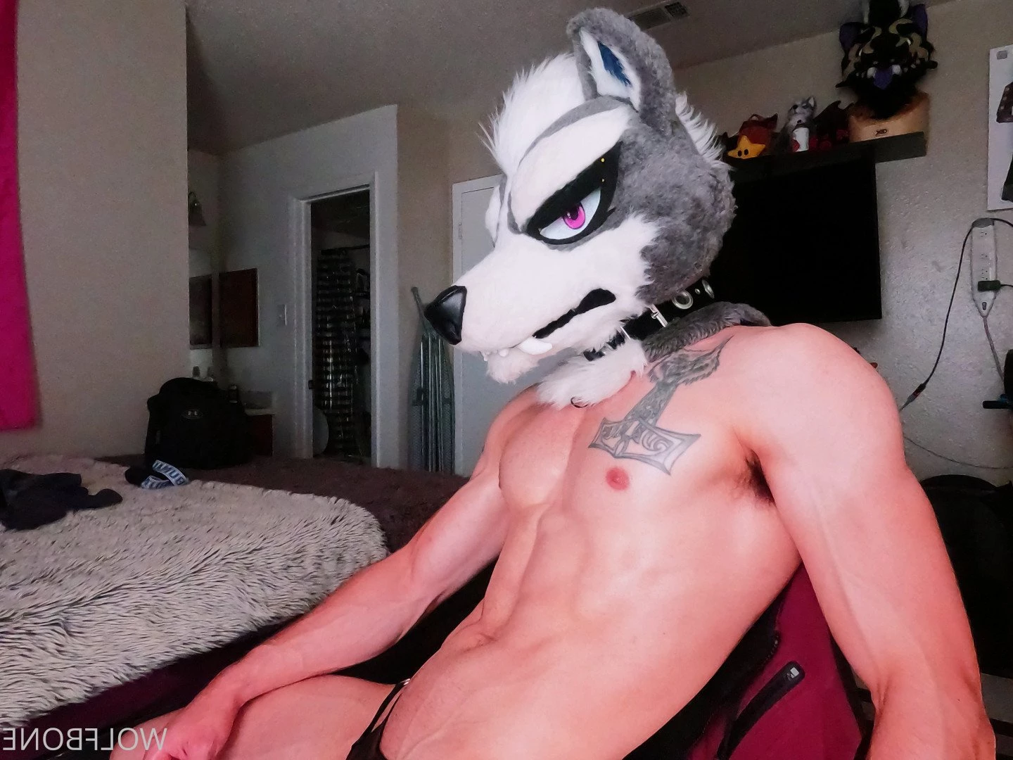 Mr. Wolf 🐺 🌟 [ frute_brute ] Onlyfans leaked photo 3192654 on Hotleaks.tv