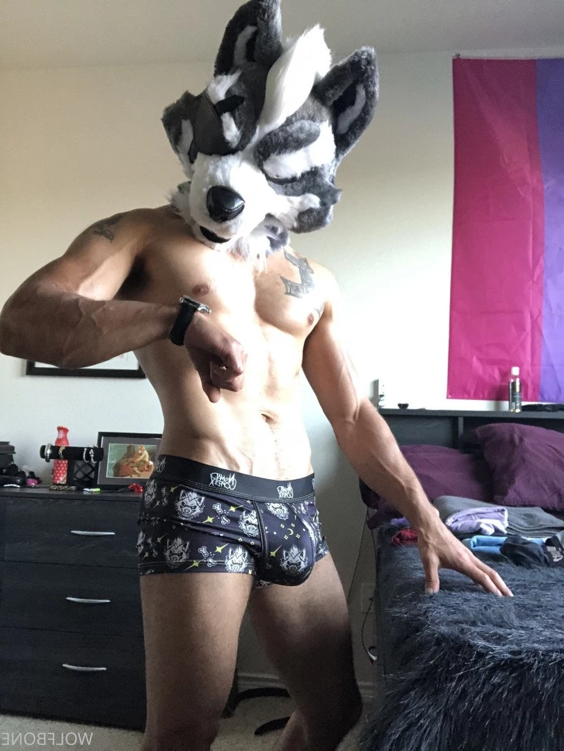 Mr. Wolf 🐺 🌟 [ frute_brute ] Onlyfans leaked photo 3192669 on Hotleaks.tv