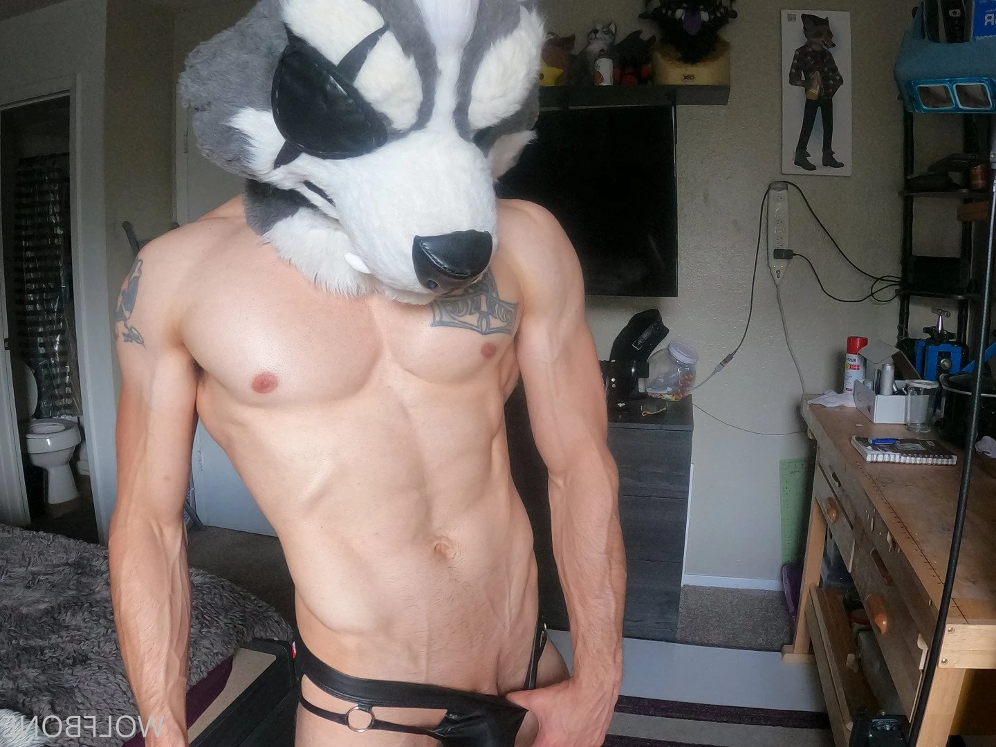 Mr. Wolf 🐺 🌟 [ frute_brute ] Onlyfans leaked photo 3192693 on Hotleaks.tv