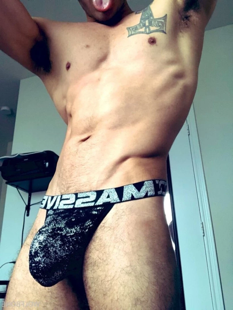 Mr. Wolf 🐺 🌟 [ frute_brute ] Onlyfans leaked photo 3192716 on Hotleaks.tv