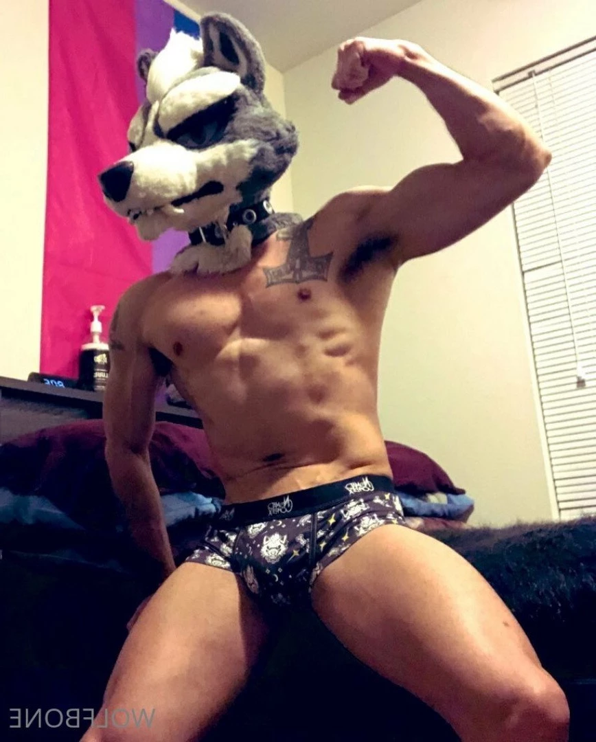 Mr. Wolf 🐺 🌟 [ frute_brute ] Onlyfans leaked photo 3192733 on Hotleaks.tv
