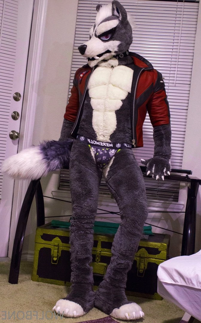 Mr. Wolf 🐺 🌟 [ frute_brute ] Onlyfans leaked photo 3192755 on Hotleaks.tv