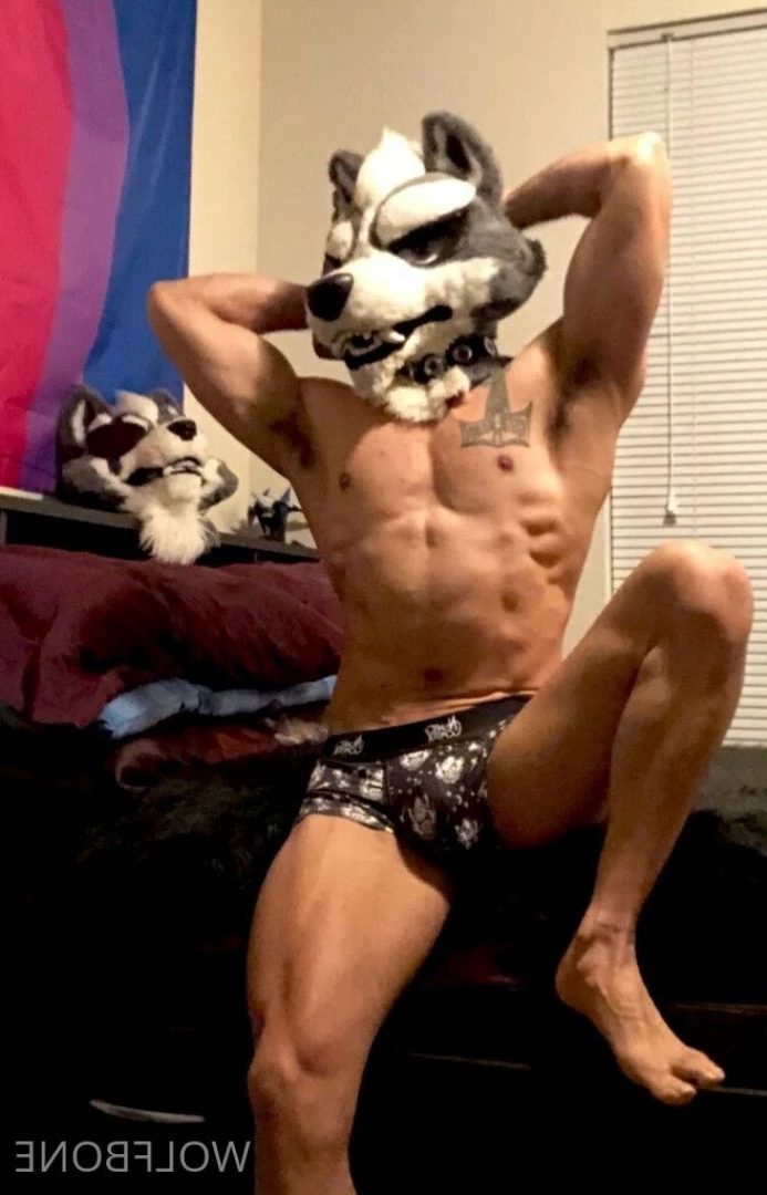 Mr. Wolf 🐺 🌟 [ frute_brute ] Onlyfans leaked photo 3192771 on Hotleaks.tv