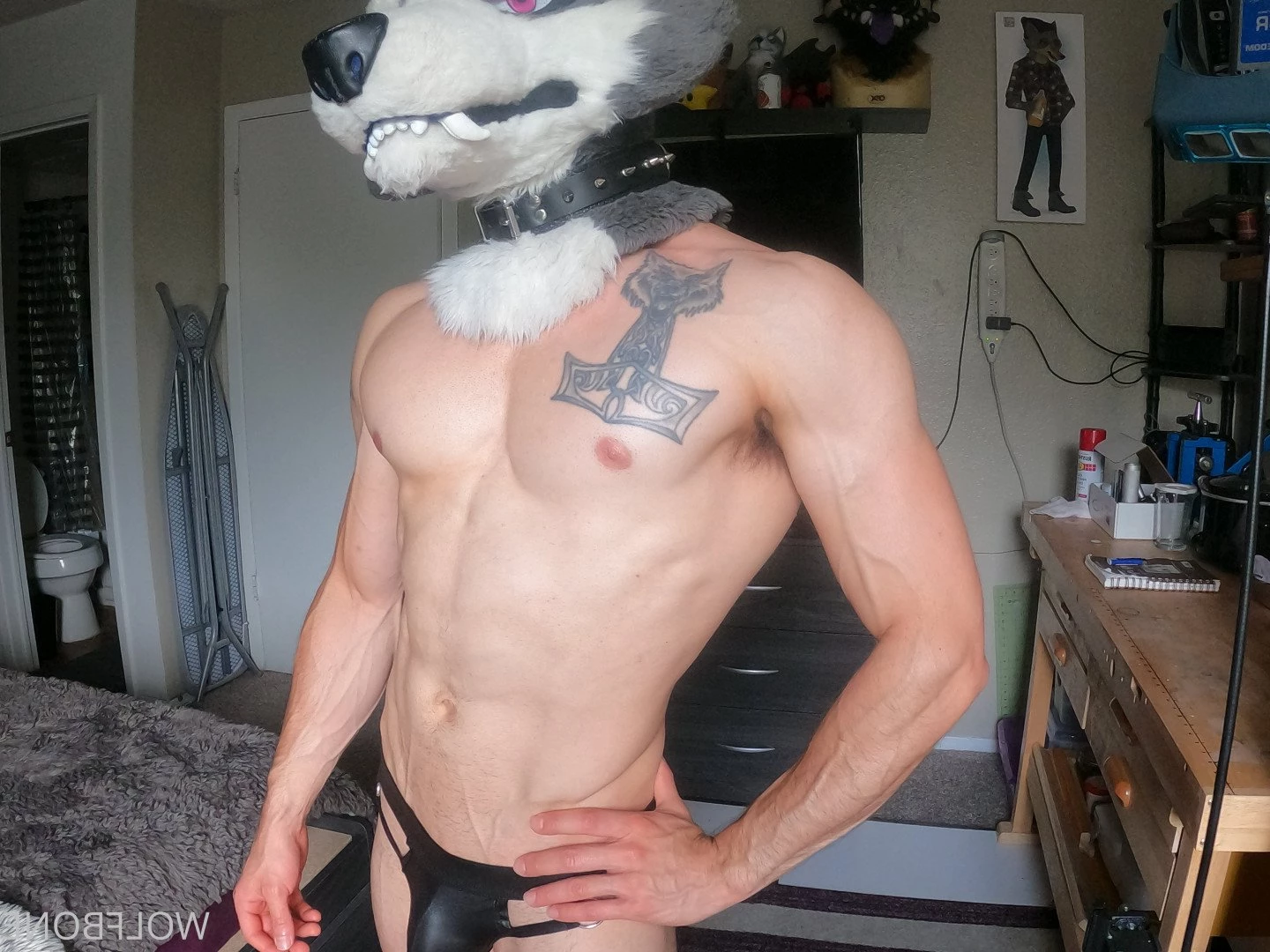 Mr. Wolf 🐺 🌟 [ frute_brute ] Onlyfans leaked photo 3192795 on Hotleaks.tv