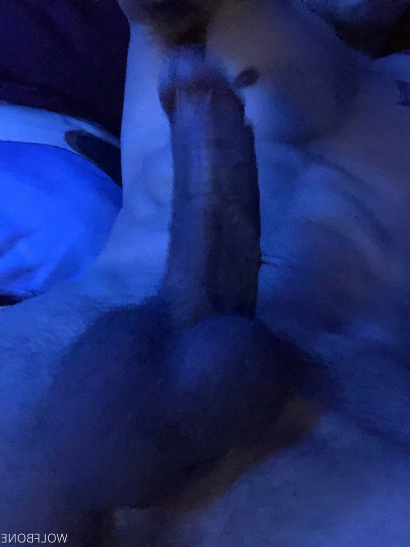 Mr. Wolf 🐺 🌟 [ frute_brute ] Onlyfans leaked photo 3192845 on Hotleaks.tv