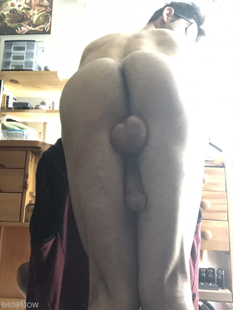Mr. Wolf 🐺 🌟 [ frute_brute ] Onlyfans leaked photo 3192856 on Hotleaks.tv