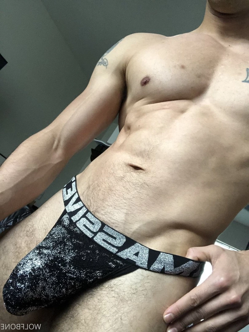 Mr. Wolf 🐺 🌟 [ frute_brute ] Onlyfans leaked photo 3192868 on Hotleaks.tv