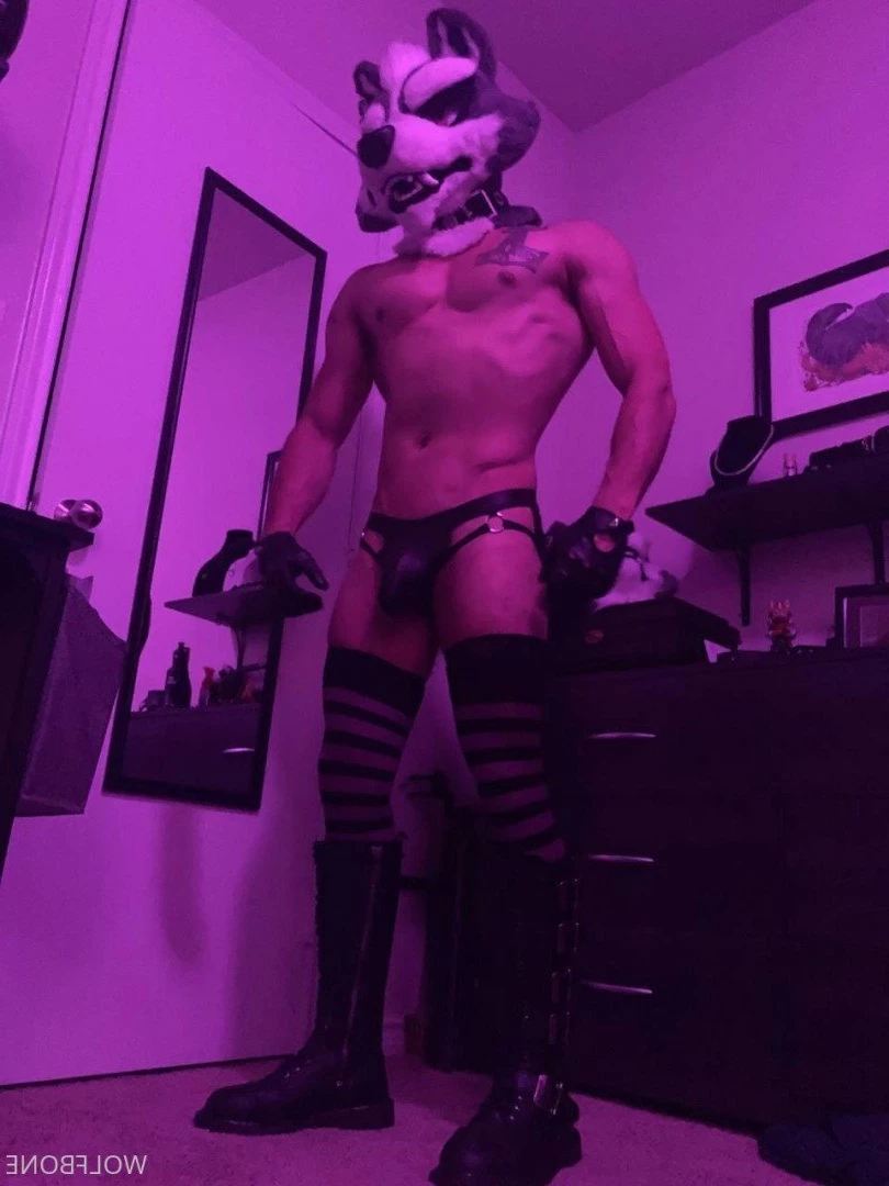 Mr. Wolf 🐺 🌟 [ frute_brute ] Onlyfans leaked photo 3192901 on Hotleaks.tv