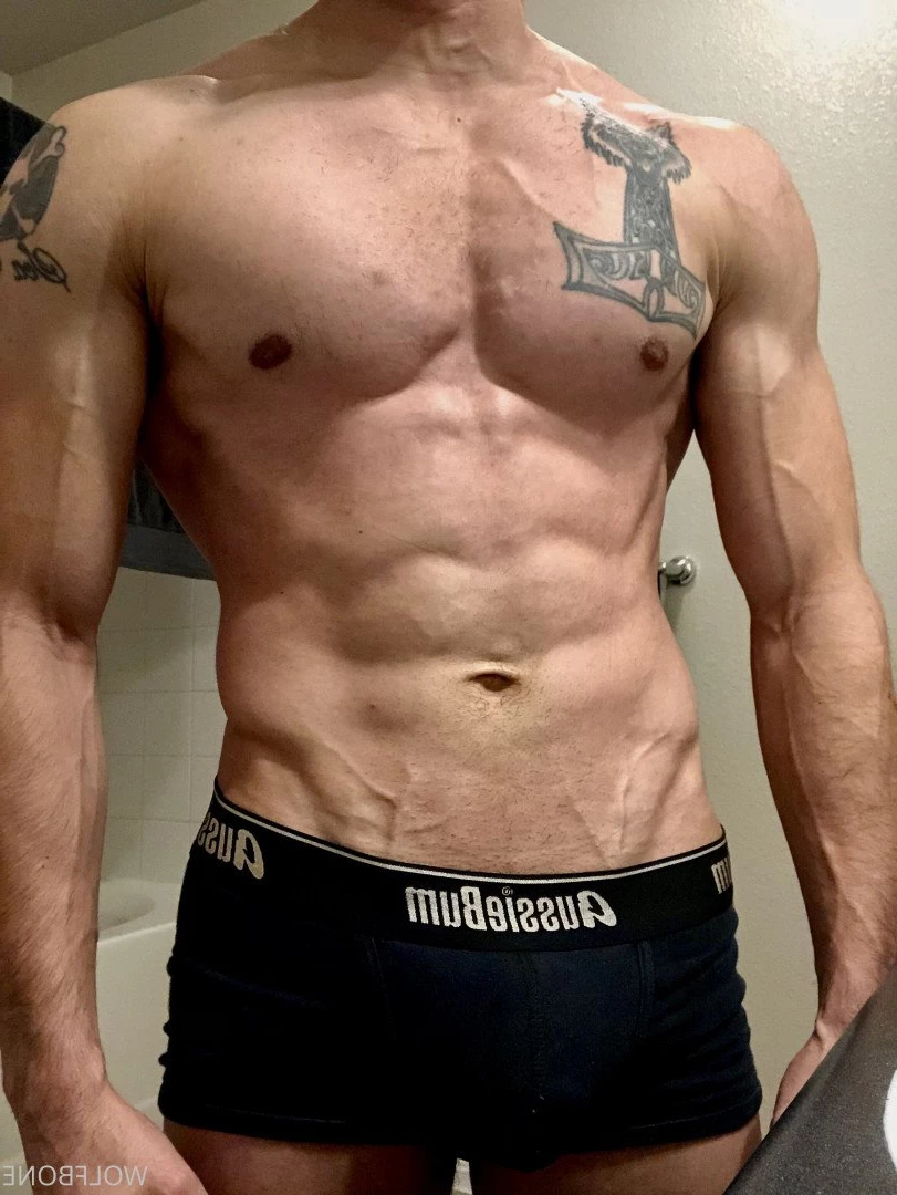 Mr. Wolf 🐺 🌟 [ frute_brute ] Onlyfans leaked photo 3192932 on Hotleaks.tv