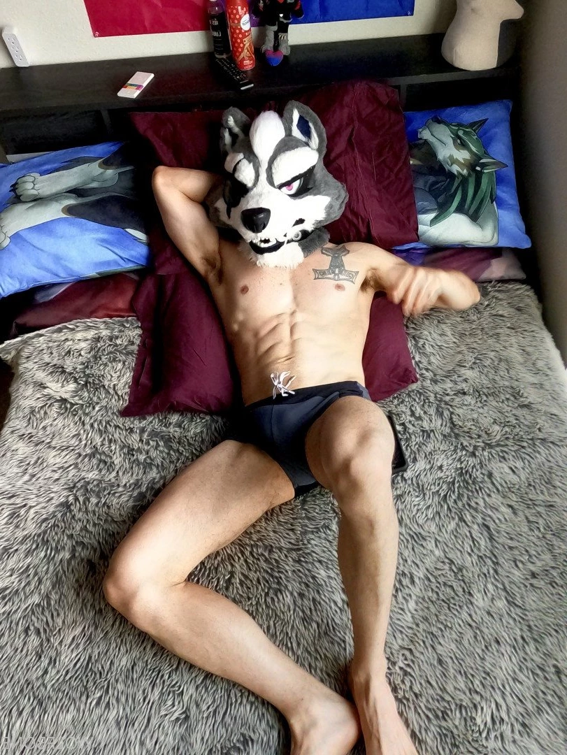 Mr. Wolf 🐺 🌟 [ frute_brute ] Onlyfans leaked photo 3192942 on Hotleaks.tv