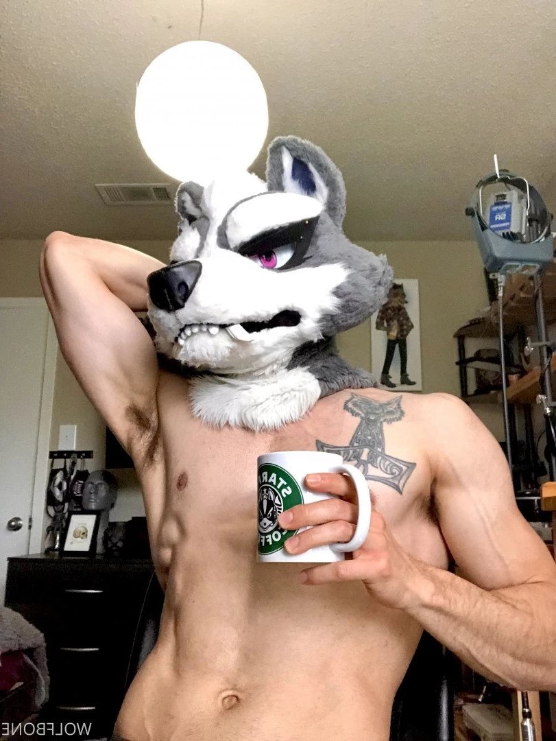 Mr. Wolf 🐺 🌟 [ frute_brute ] Onlyfans leaked photo 3192959 on Hotleaks.tv