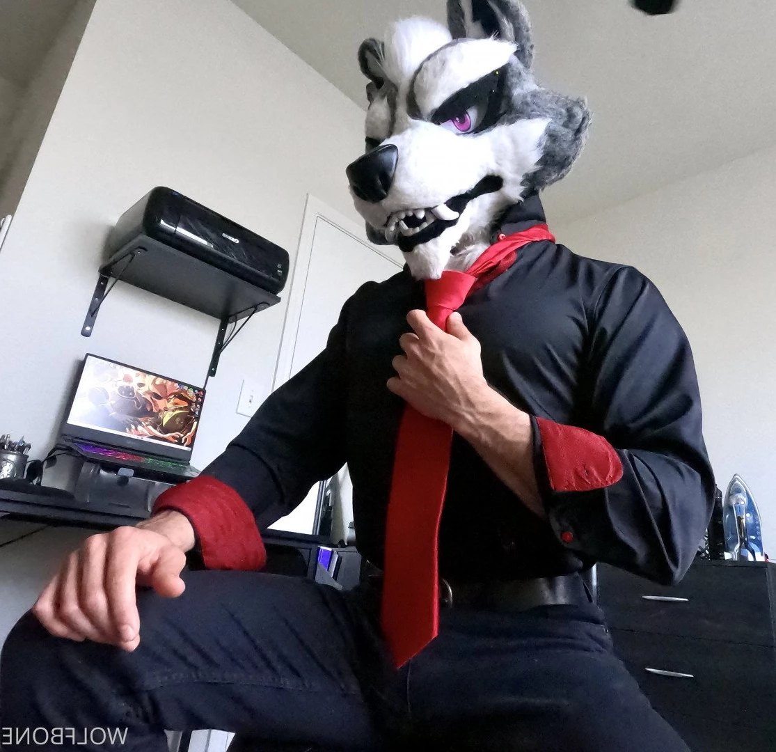 Mr. Wolf 🐺 🌟 [ frute_brute ] Onlyfans leaked photo 3193173 on Hotleaks.tv