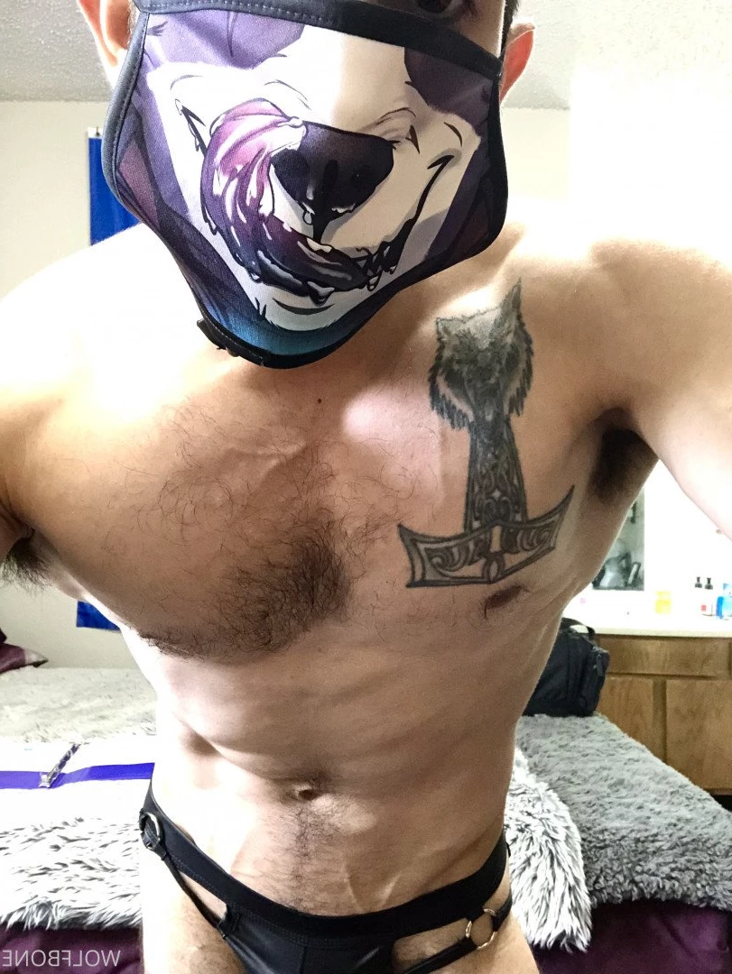 Mr. Wolf 🐺 🌟 [ frute_brute ] Onlyfans leaked photo 3193186 on Hotleaks.tv