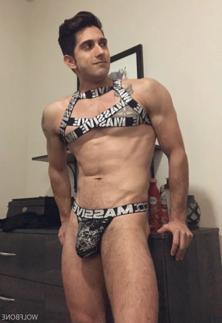Mr. Wolf 🐺 🌟 [ frute_brute ] Onlyfans leaked photo 3193198 on Hotleaks.tv