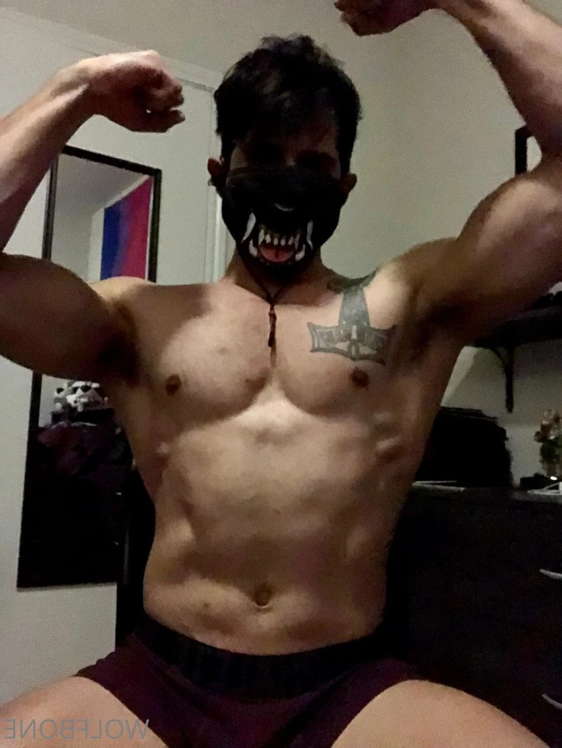 Mr. Wolf 🐺 🌟 [ frute_brute ] Onlyfans leaked photo 3193301 on Hotleaks.tv