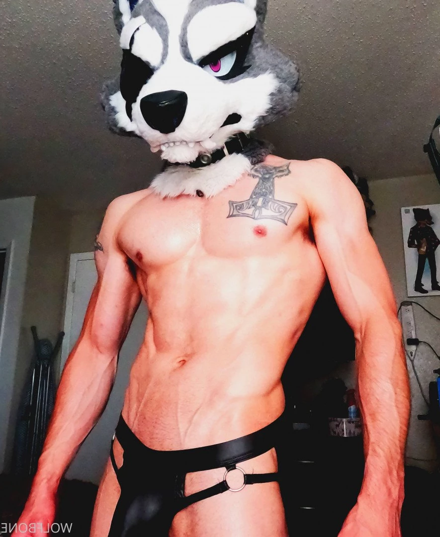 Mr. Wolf 🐺 🌟 [ frute_brute ] Onlyfans leaked photo 3193332 on Hotleaks.tv