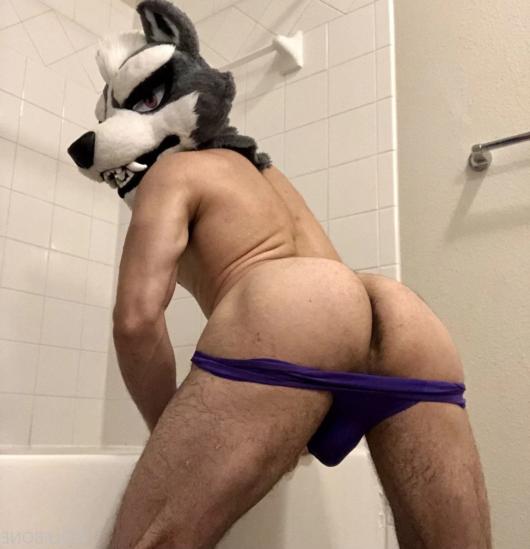 Mr. Wolf 🐺 🌟 [ frute_brute ] Onlyfans leaked photo 3193368 on Hotleaks.tv