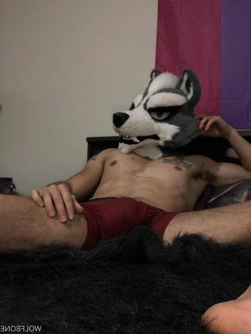 Mr. Wolf 🐺 🌟 [ frute_brute ] Onlyfans leaked photo 3193405 on Hotleaks.tv