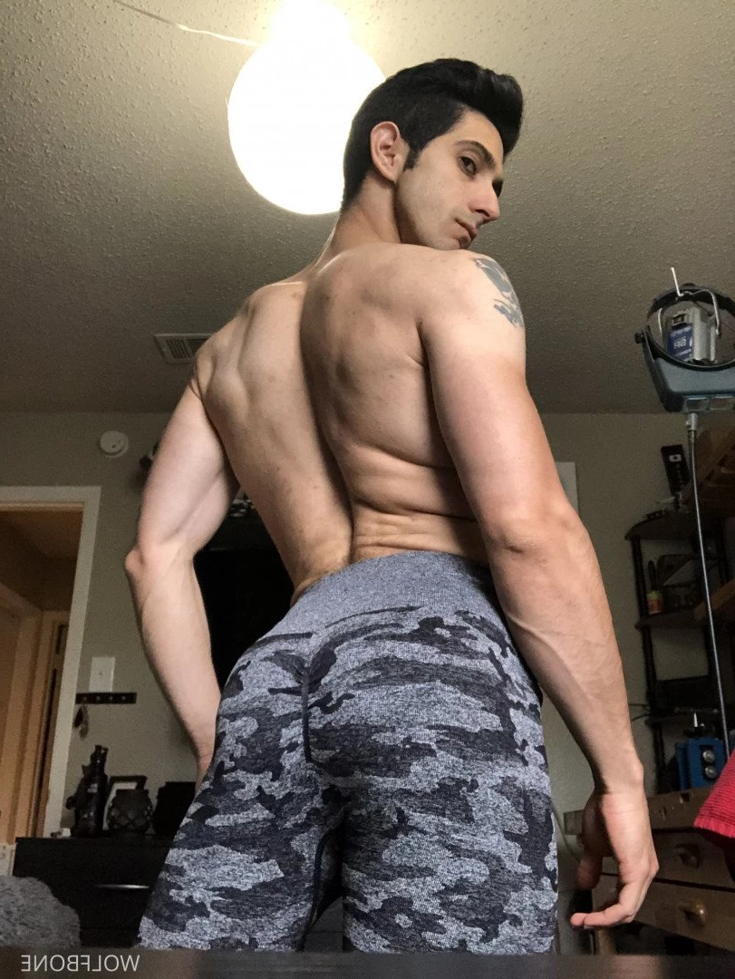 Mr. Wolf 🐺 🌟 [ frute_brute ] Onlyfans leaked photo 3193458 on Hotleaks.tv