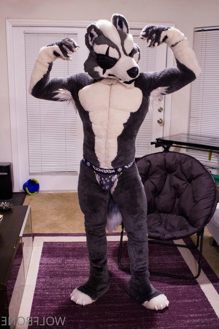 Mr. Wolf 🐺 🌟 [ frute_brute ] Onlyfans leaked photo 3193606 on Hotleaks.tv