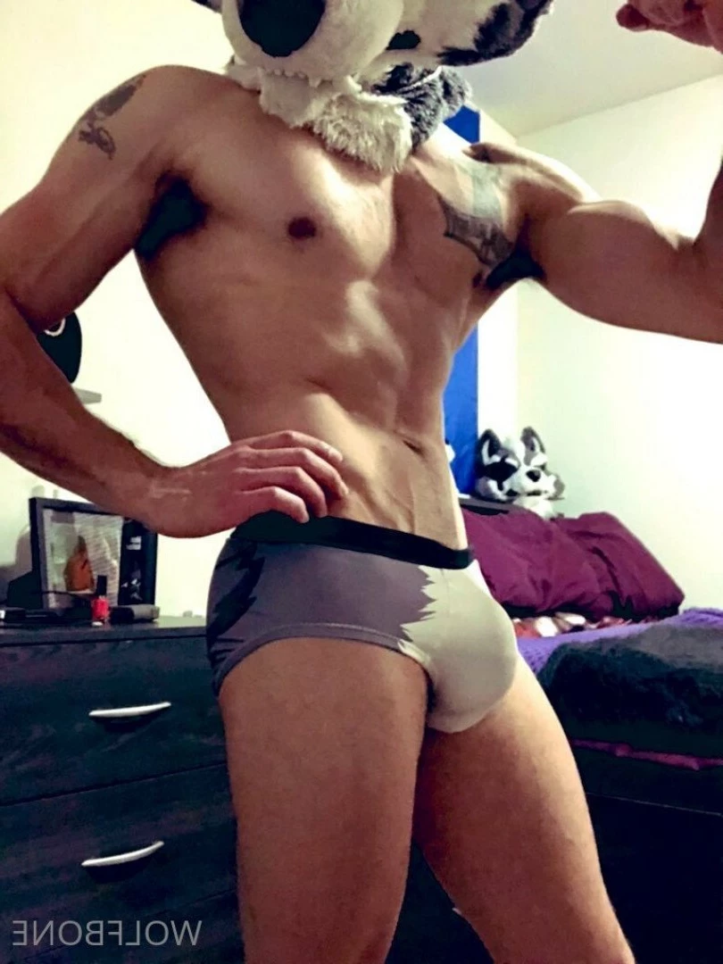 Mr. Wolf 🐺 🌟 [ frute_brute ] Onlyfans leaked photo 3193618 on Hotleaks.tv