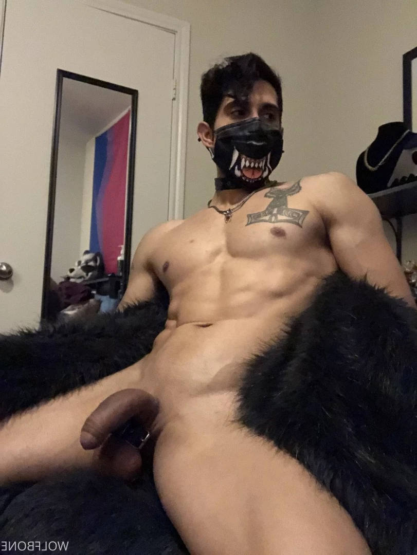 Mr. Wolf 🐺 🌟 [ frute_brute ] Onlyfans leaked photo 3193710 on Hotleaks.tv