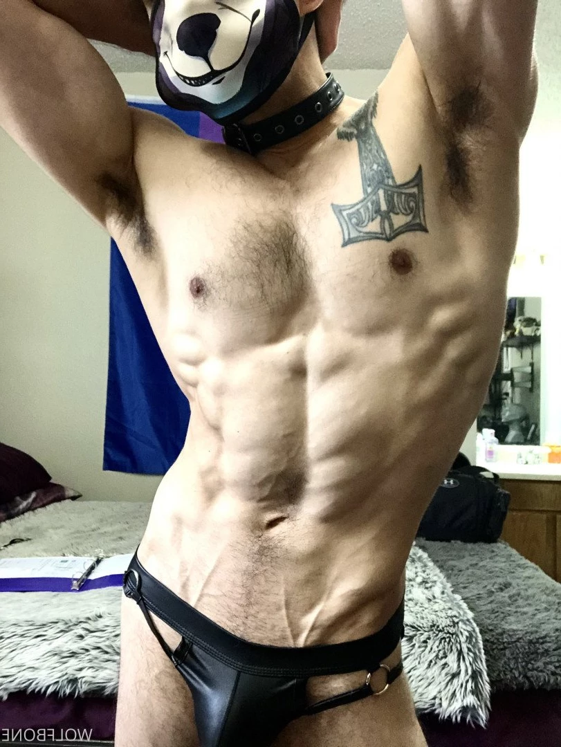 Mr. Wolf 🐺 🌟 [ frute_brute ] Onlyfans leaked photo 3193756 on Hotleaks.tv