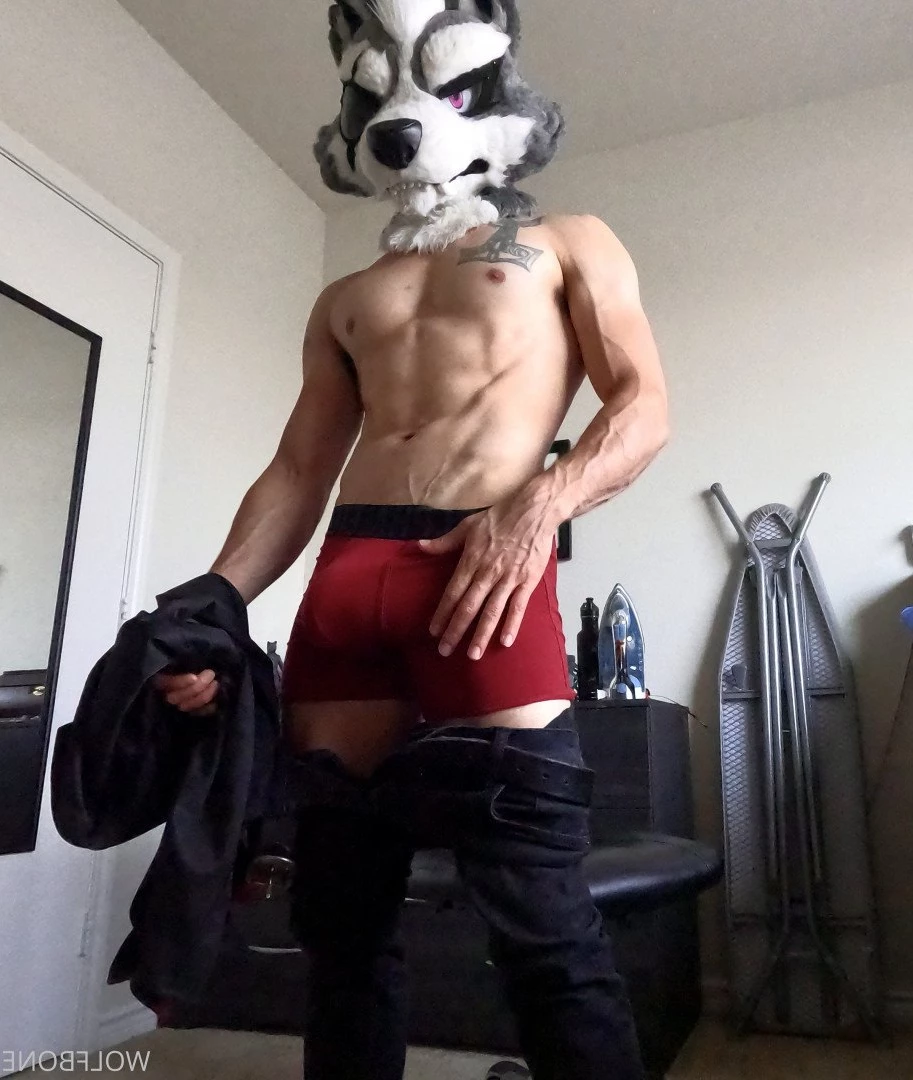 Mr. Wolf 🐺 🌟 [ frute_brute ] Onlyfans leaked photo 3193902 on Hotleaks.tv