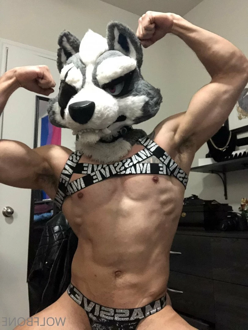 Mr. Wolf 🐺 🌟 [ frute_brute ] Onlyfans leaked photo 3193949 on Hotleaks.tv