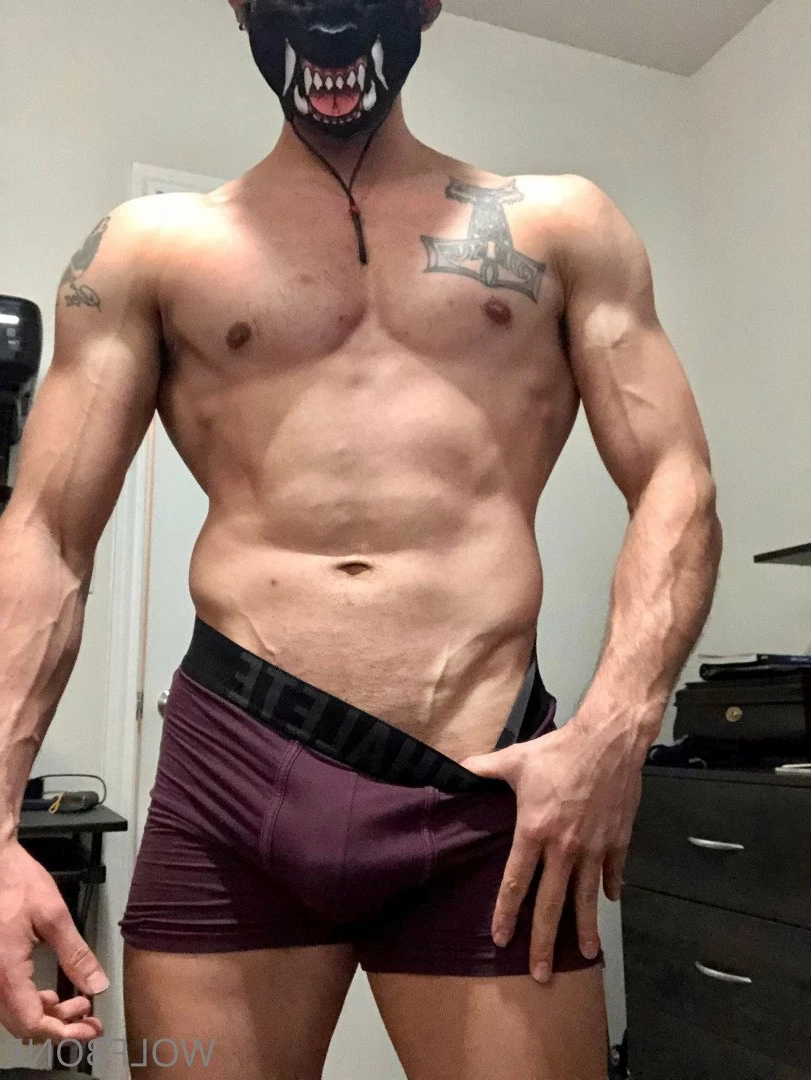 Mr. Wolf 🐺 🌟 [ frute_brute ] Onlyfans leaked photo 3194030 on Hotleaks.tv