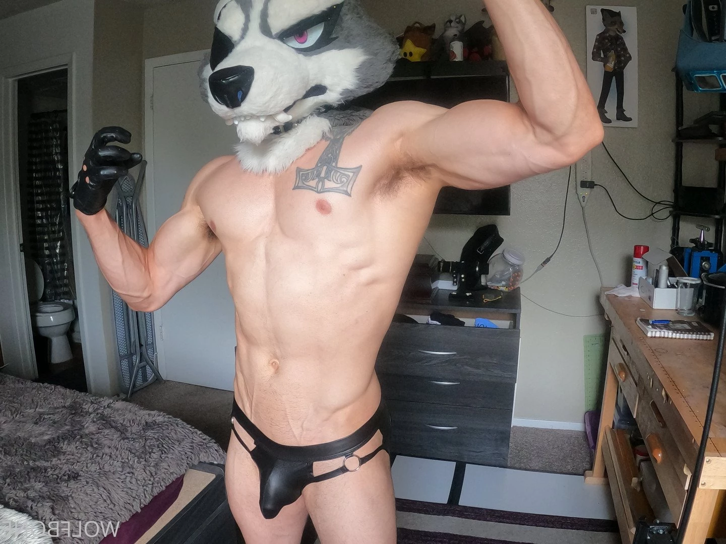 Mr. Wolf 🐺 🌟 [ frute_brute ] Onlyfans leaked photo 3194070 on Hotleaks.tv