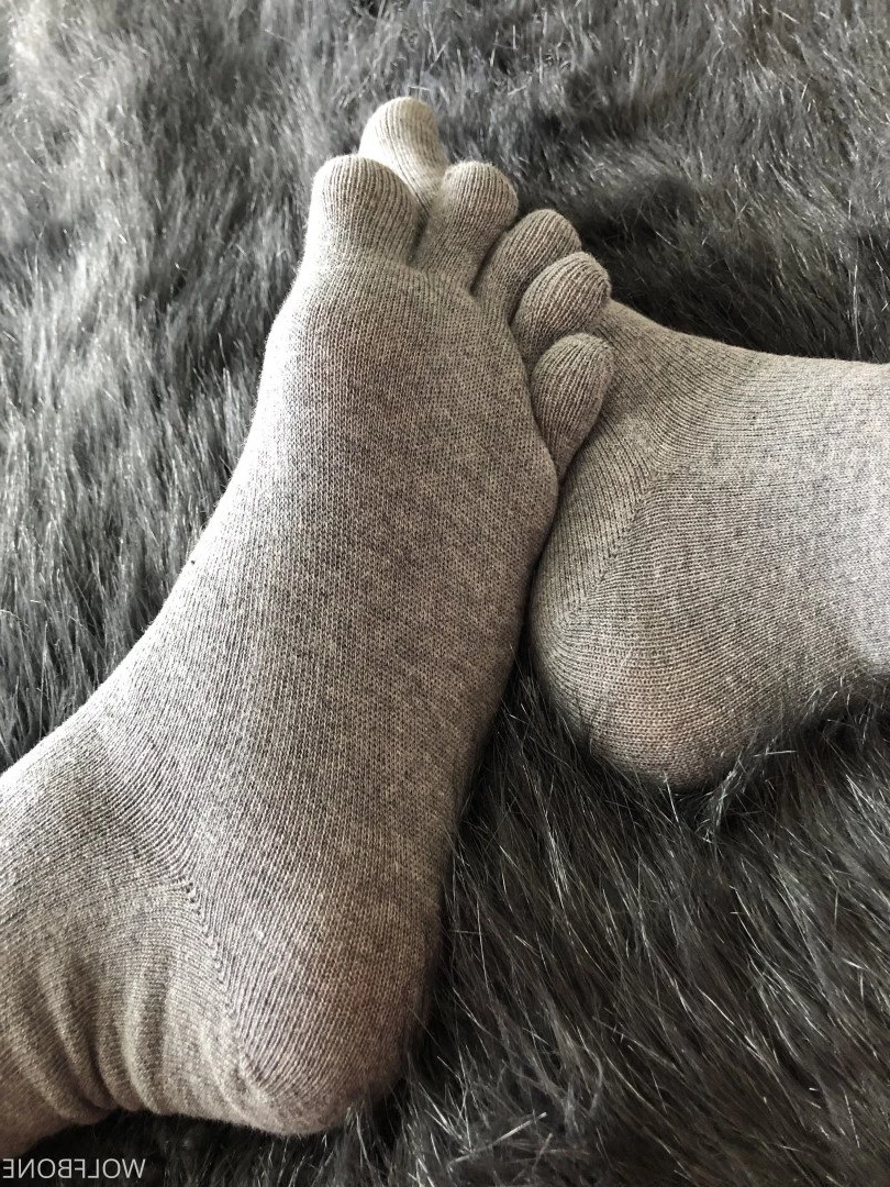 Mr. Wolf 🐺 🌟 [ frute_brute ] Onlyfans leaked photo 3194104 on Hotleaks.tv