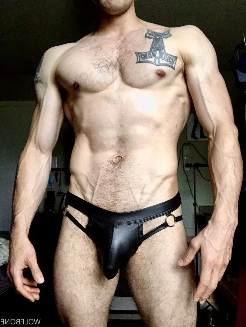 Mr. Wolf 🐺 🌟 [ frute_brute ] Onlyfans leaked photo 3194142 on Hotleaks.tv