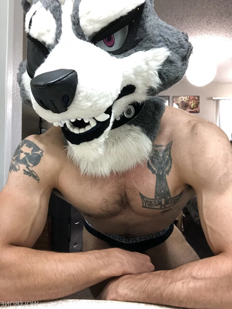 Mr. Wolf 🐺 🌟 [ frute_brute ] Onlyfans leaked photo 3194291 on Hotleaks.tv