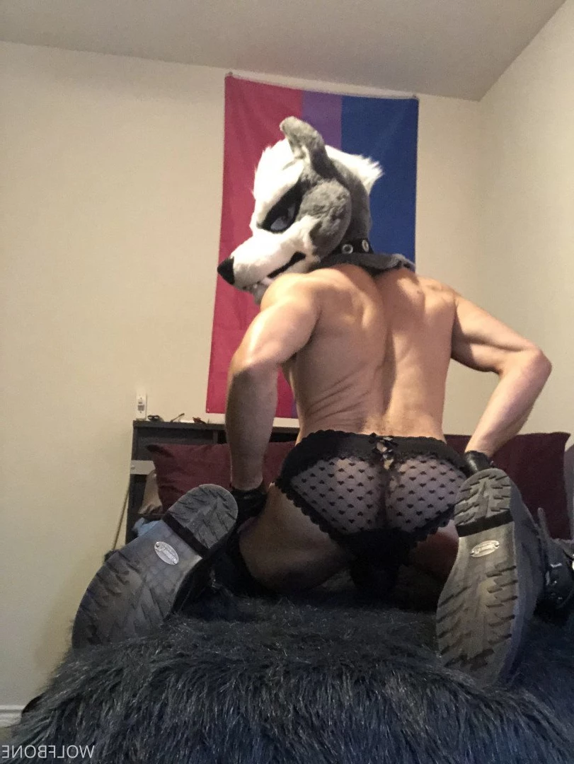 Mr. Wolf 🐺 🌟 [ frute_brute ] Onlyfans leaked photo 3194392 on Hotleaks.tv