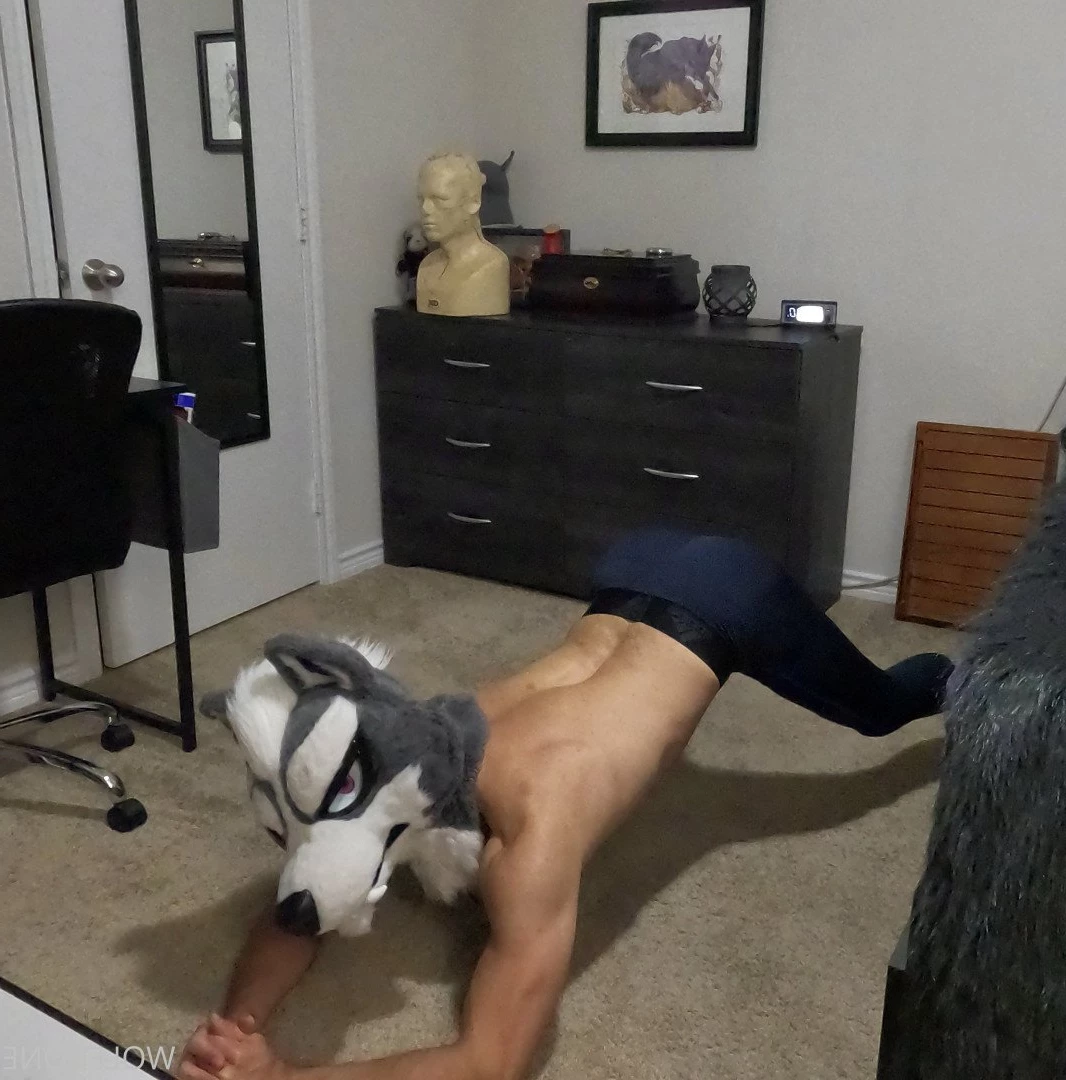 Mr. Wolf 🐺 🌟 [ frute_brute ] Onlyfans leaked photo 3194421 on Hotleaks.tv