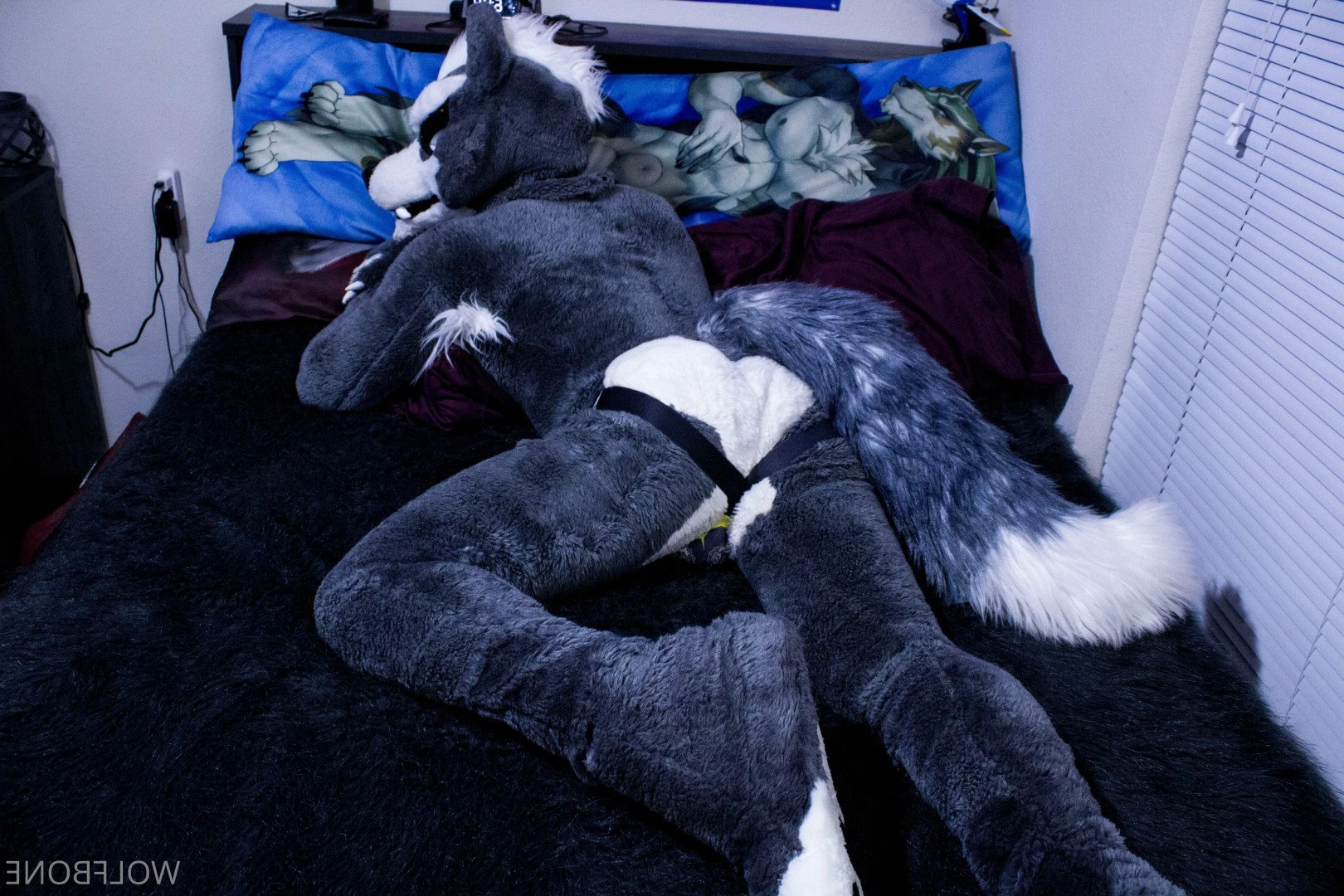 Mr. Wolf 🐺 🌟 [ frute_brute ] Onlyfans leaked photo 3194461 on Hotleaks.tv
