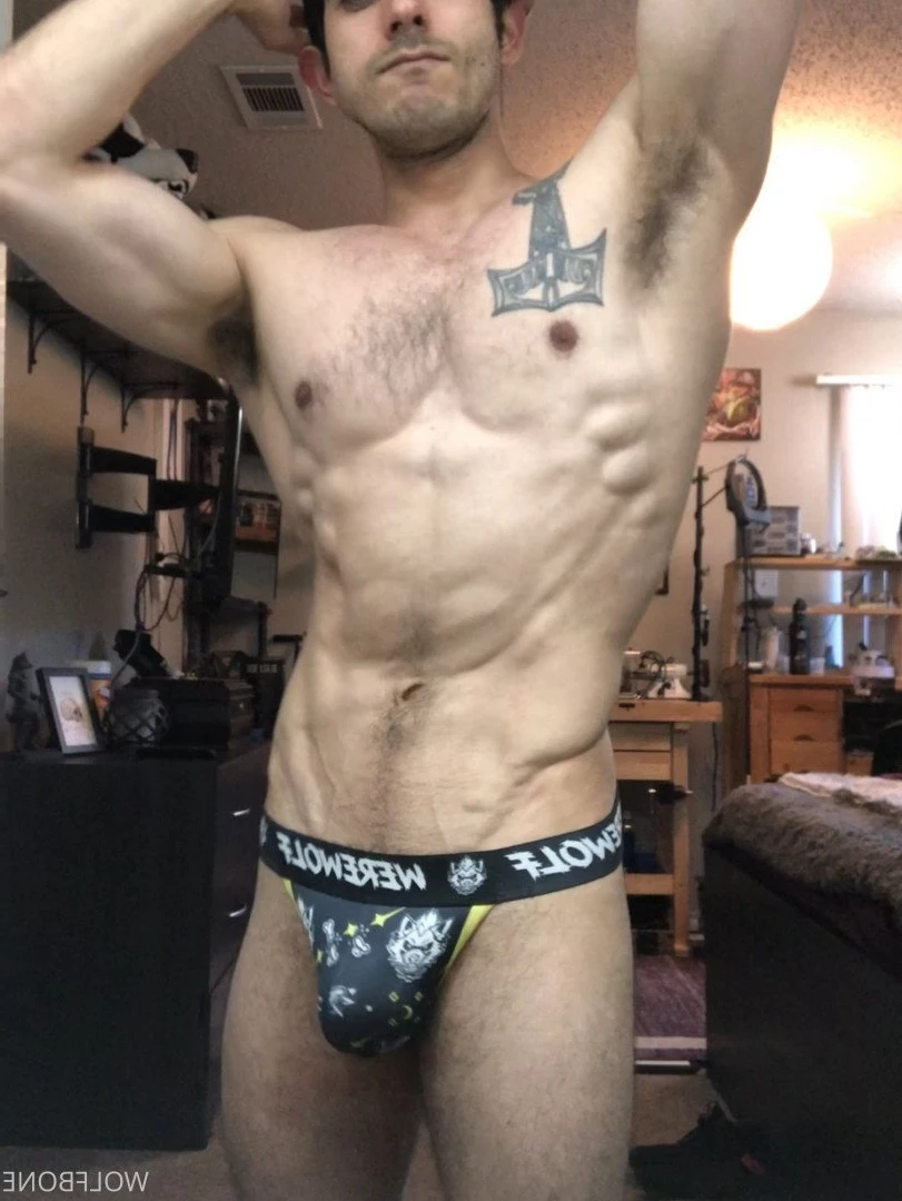 Mr. Wolf 🐺 🌟 [ frute_brute ] Onlyfans leaked photo 3194517 on Hotleaks.tv