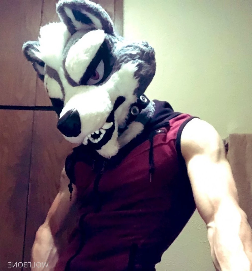 Mr. Wolf 🐺 🌟 [ frute_brute ] Onlyfans leaked photo 3194532 on Hotleaks.tv