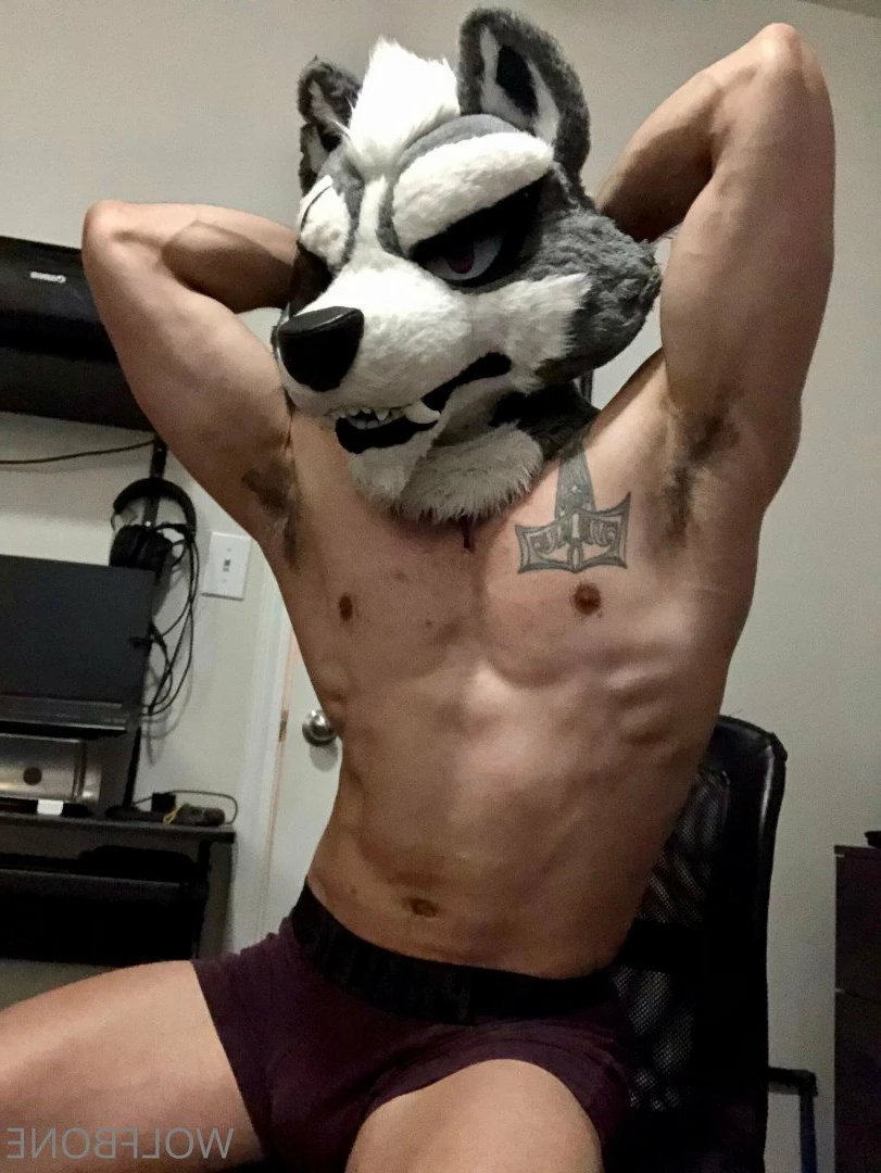 Mr. Wolf 🐺 🌟 [ frute_brute ] Onlyfans leaked photo 3194545 on Hotleaks.tv